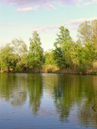 Соболівка з panoramio.com