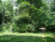 Скулин з panoramio.com