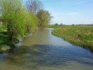 Добрівляни з panoramio.com