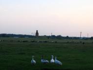 Дмитрів з panoramio.com