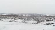 Широке з panoramio.com