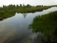 Рокитне з panoramio.com