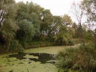 Немішаєве з panoramio.com