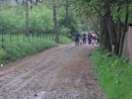 Нижні Синівці з panoramio.com