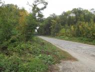 Монастирище з panoramio.com