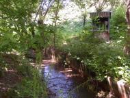 Суботівка з panoramio.com