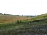 Лозне з panoramio.com