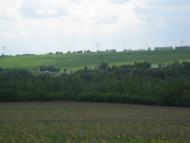 Тимченки з panoramio.com