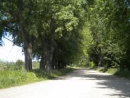 Руда-Крехівська з panoramio.com