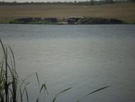 Катеринівка з panoramio.com