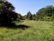 Пугачівка з panoramio.com