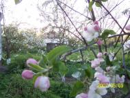 Володарка з panoramio.com