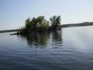 Орлівське з panoramio.com