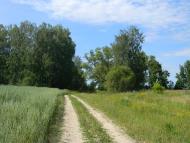 Півнівщина з panoramio.com