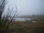 Новохортиця з panoramio.com