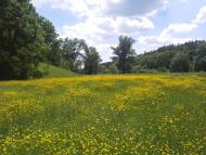 Нова Січ з panoramio.com