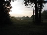 Криничне з panoramio.com