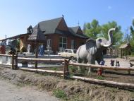 Куцеволівка з panoramio.com