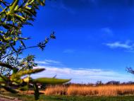 Чернігівка з panoramio.com