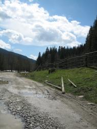 Зелене з panoramio.com