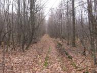 Ивахновка - Последние фото