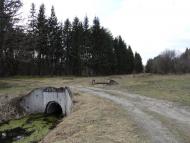 Котів з panoramio.com