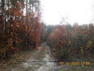 Бондарня з panoramio.com