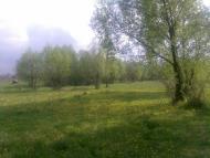 Мала Дівиця з panoramio.com