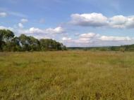 Чорногородка з panoramio.com