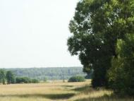 Ганнусине з panoramio.com