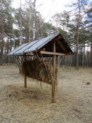 Котів з panoramio.com