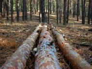 Трушівці з panoramio.com