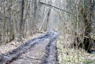 Терентіївка з panoramio.com