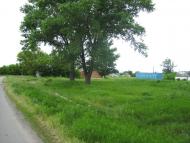 Лозне з panoramio.com