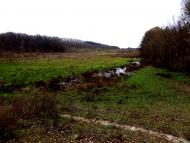 Павлівка Друга з panoramio.com