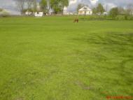 Кімнатка з panoramio.com