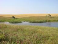 Переможне з panoramio.com