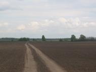 Товстоліс з panoramio.com