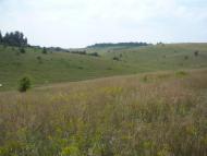 Заміст з panoramio.com