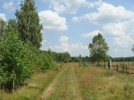 Річки з panoramio.com