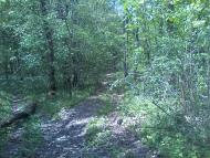 Коверівка - Останні фото