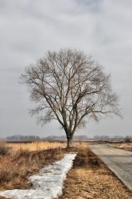 Волошинівка з panoramio.com