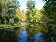 Розумівка з panoramio.com