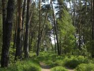 Обірки з panoramio.com