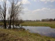 Травневе з panoramio.com