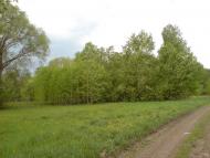 Зарябинка з panoramio.com