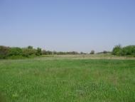 Темрюк з panoramio.com