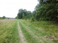 Ганнусине з panoramio.com