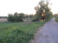 Малополовецьке з panoramio.com