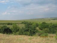 Коритно-Забузьке з panoramio.com